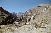 Colca Canyon